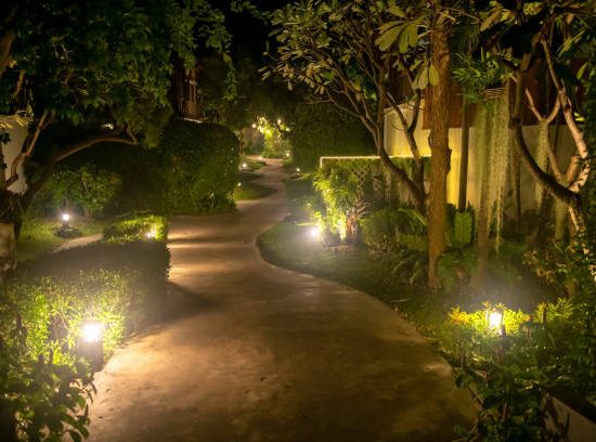 footpath alley with lamp decoration by trees in the park at night. Exterior design in garden
